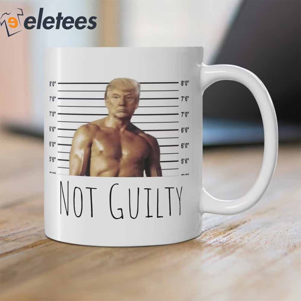Donald Trump Not Guilty Mugshot Mug2