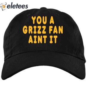 You A Grizz Fan Aint It Hat