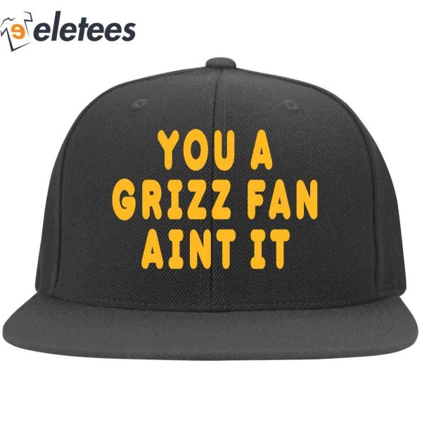 You A Grizz Fan Aint It Hat, Gift For Memphis Grizzlies Fan