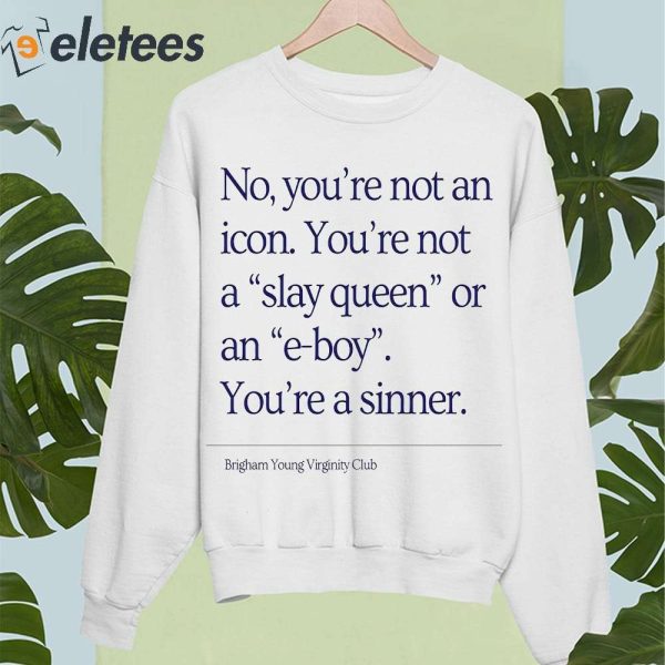 No You’re Not An Icon You’re Not A Slay Queen Or An E Boy Shirt