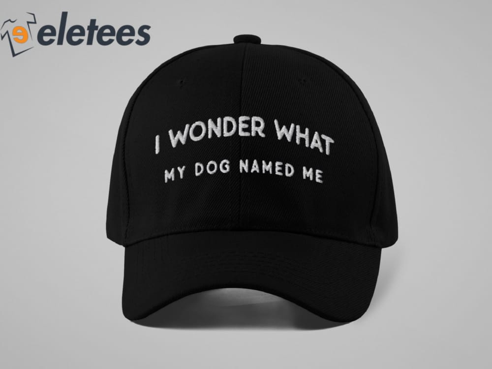 I Wonder What My Dog Named Me Funny Hat 4