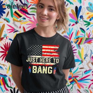 Im Just Here To Bang Funny 4th July Independence Day Shirt 2