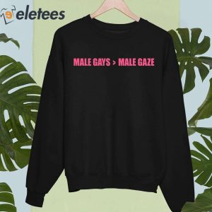 Male Gays More Male Gaze Shirt 5