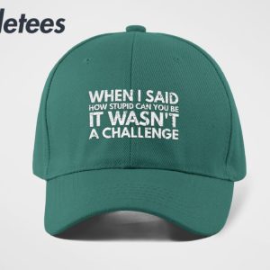 When I Said How Stupid Can You Be It Wasnt A Challenge Hat 3