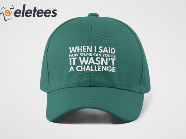 When I Said How Stupid Can You Be It Wasn’t A Challenge Hat