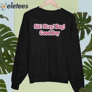 Sit Stay Beg Good Boy Shirt 5