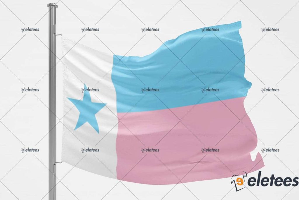 Texas Trans Pride Flag 1