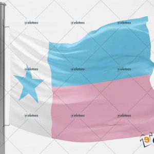 Texas Trans Pride Flag 1