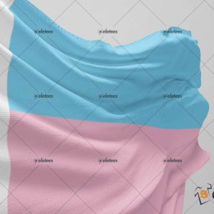 Texas Trans Pride Flag 2