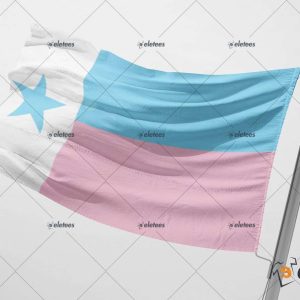 Texas Trans Pride Flag 3