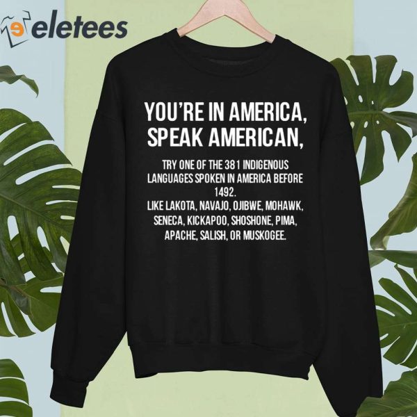 You’re In America Speak American Try One Of The 381 Indigenous Shirt