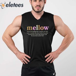 Mellow If You Are Reading This It Means You Have Made It To This Fine Day Shirt 3