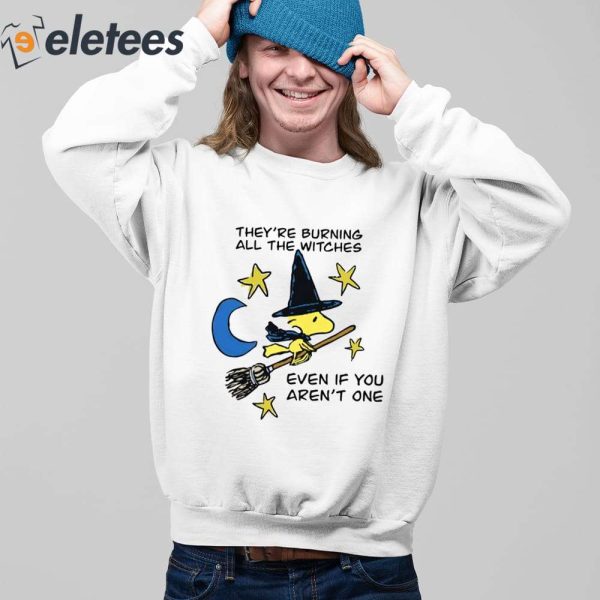 They’re Burning All The Witches Even If You Aren’t One Shirt