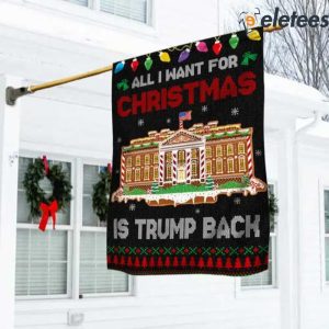 Trump Christmas American Flag All I Want For Christmas Is Trump Back Flag 2