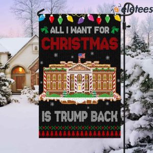 Trump Christmas American Flag All I Want For Christmas Is Trump Back Flag 3