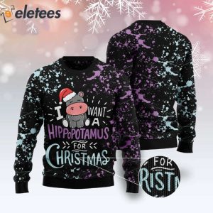 I Want A Hippopotamus For Christmas Ugly Sweater 2