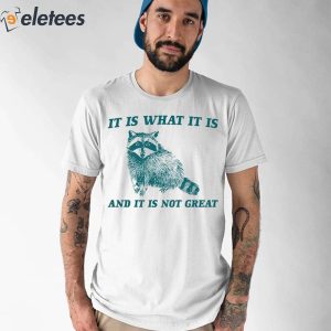 Raccoon It Is What It Is And It Is Not Great Shirt