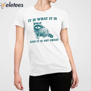 Raccoon It Is What It Is And It Is Not Great Shirt 2