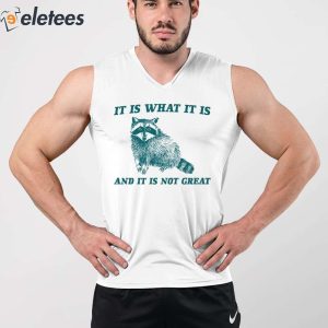 Raccoon It Is What It Is And It Is Not Great Shirt 5