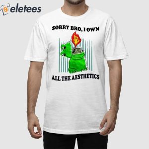Sorry Bro I Own All The Aesthetics Shirt