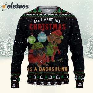 All I Want For Christmas Is Dachshund 3D Christmas Sweatshirt 2