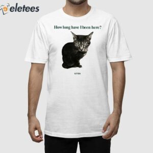 How Long Have I Been Here Kitten Cat Shirt 1