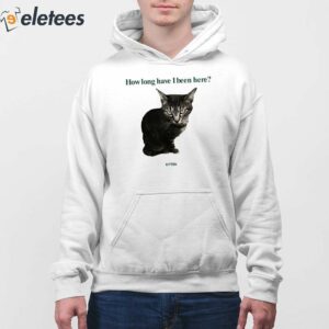 How Long Have I Been Here Kitten Cat Shirt 2