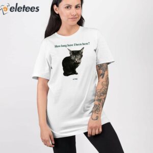 How Long Have I Been Here Kitten Cat Shirt 3
