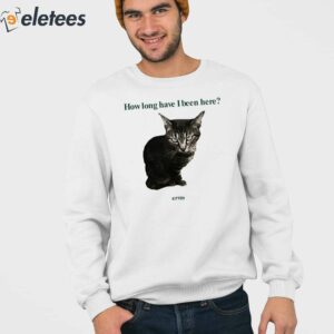 How Long Have I Been Here Kitten Cat Shirt 4