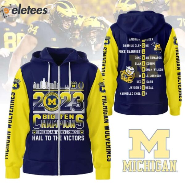 Wolverines 2023 Big Ten Champions Hail To The Victors 3D Hoodie