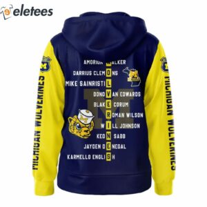 Wolverines 2023 Big Ten Champions Hail To The Victors 3D Hoodie 3