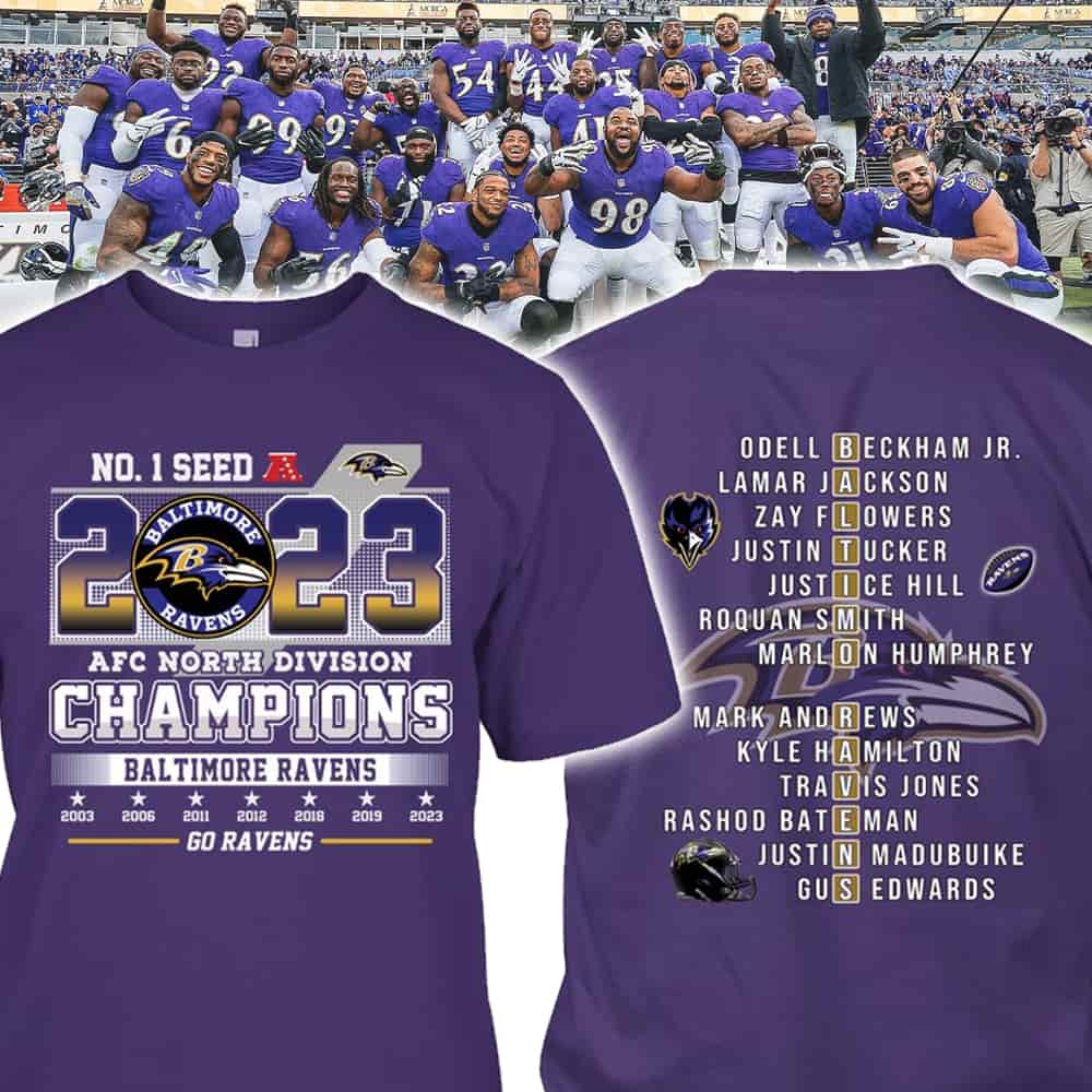 Afc north store champions t shirts