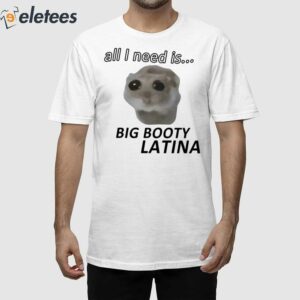 All I Need Is Big Booty Latina Shirt
