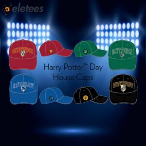 Cubs Harry Potter Day Hat Giveaway 20241