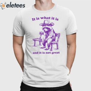 It Is What It Is And It Is Not Great Funny Shirt