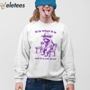 It Is What It Is And It Is Not Great Funny Shirt 3