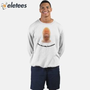 Lebron James You Are My Sunshine Shirt 2