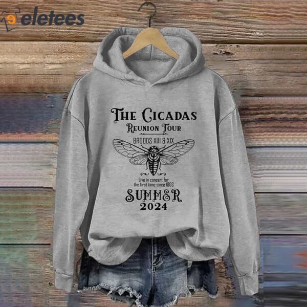 The Cicadas Reunion Tour 2024 Hoodie