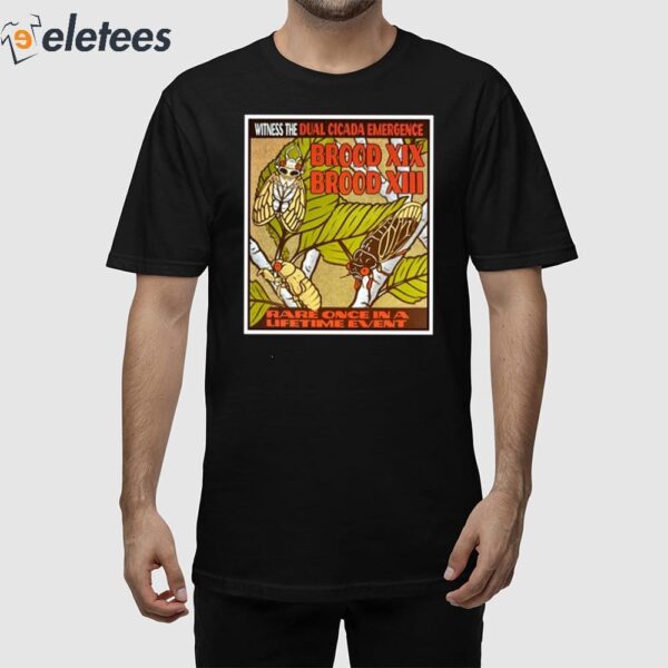 Witness The Dual Cicada Emergence Rare Once In A Lifetime Event Shirt