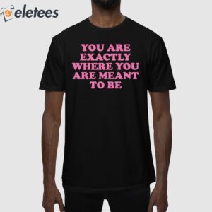 You Are Exactly Where You Are Meant To Be Shirt