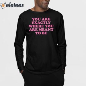 You Are Exactly Where You Are Meant To Be Shirt 3
