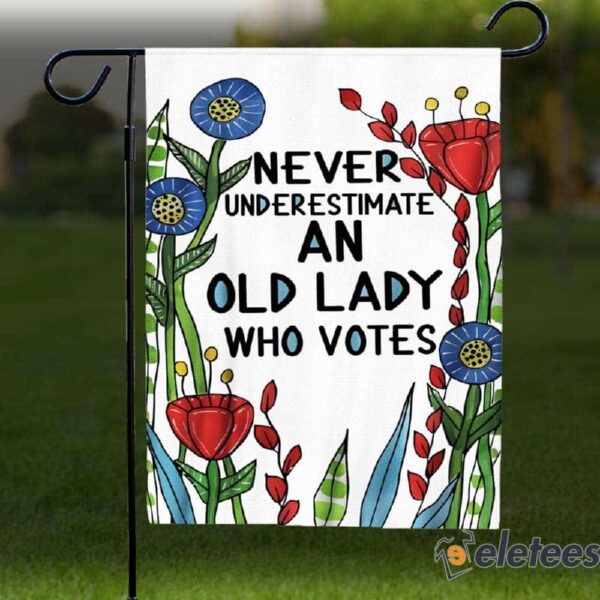 Never Underestimate An Old Lady Who Votes Flag