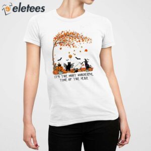 Cats Autumn Its The Most Wonderful Time Of The Year Sweatshirt 2