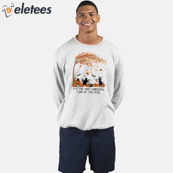 Cats Autumn It’s The Most Wonderful Time Of The Year Sweatshirt